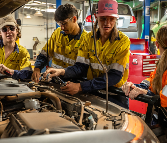 engineering, learn, study, tafe, construction tickets broome