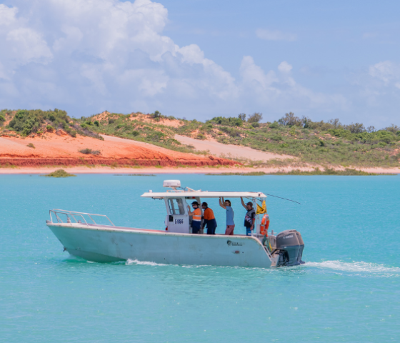 maritime, learn, boat, tafe, study