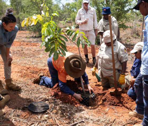 agriculture, skill, study, tafe, learn